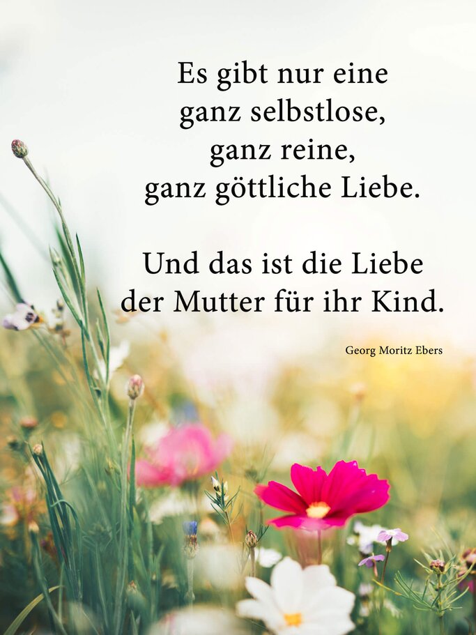 Zitat von Georg Moritz Ebers zur Liebe einer Mutter mit einer Blumenwiese im Hintergrund | © iStock | borchee