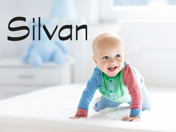 krabbelndes Baby mit dem Namen Silvan | © iStock | FamVeld