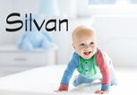 krabbelndes Baby mit dem Namen Silvan | © iStock | FamVeld