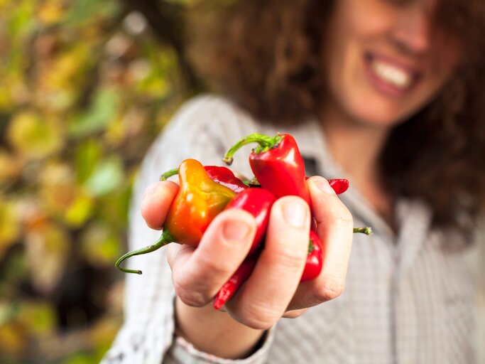 Frau hält in ihrer Hand scharfe Chilischoten. | © iStock | CasarsaGuru