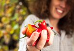 Frau hält in ihrer Hand scharfe Chilischoten. | © iStock | CasarsaGuru