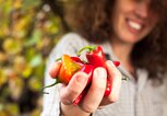 Frau hält in ihrer Hand scharfe Chilischoten. | © iStock | CasarsaGuru