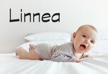 Süßes Baby mit dem Namen Linnea | © iStock | Demkat
