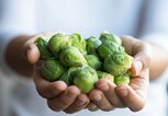 Frauen Hand hält Rosenkohl | © iStock | solidcolours