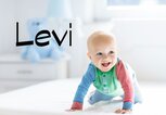 krabbelndes Baby mit dem Namen Levi | © iStock.com | FamVeld
