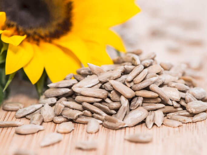 Sonnenblume mit Samen auf Holz | © iStock.com / HandmadePictures