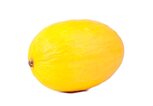 Gelbe Honigmelone auf einem weißen Hintergrund.  | © iStock.com / Josef Mohyla