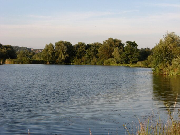 Baggersee Wernau | © iStock.com / fotolinchen