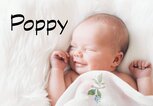 schlafendes Baby mit dem Namen Poppy | © iStock.com / NataliaDeriabina