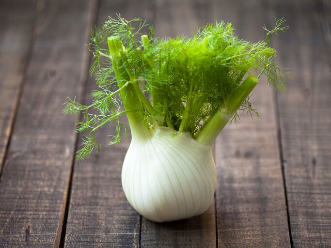 Fenchel | © iStock.com / meteo021