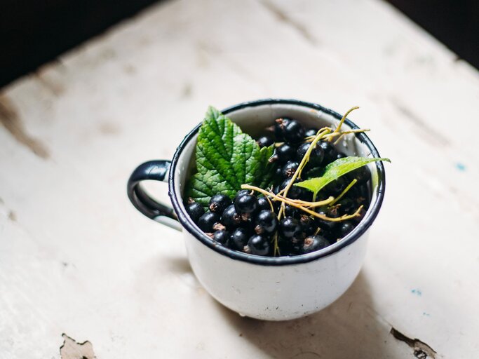 Schwarze Johannisbeeren in einer Tasse | © iStock.com / izhairguns