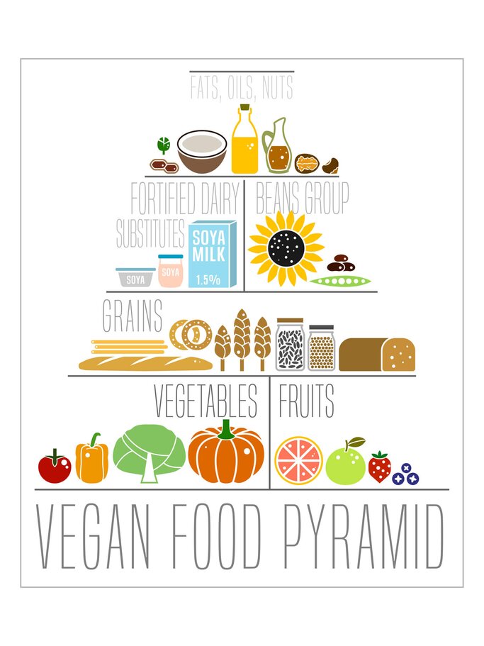 Ernährungspyramide für Veganer als Zeichnung | © gettyimages.de | newannyart