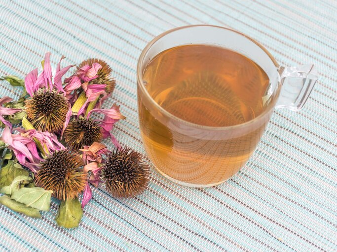 Eine Tasse aus Glas steht neben getrockneten Sonnenhut-Blüten und enthält Echinacea Tee. | © gettyimages.de / HMV