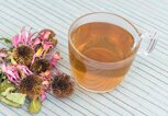 Eine Tasse aus Glas steht neben getrockneten Sonnenhut-Blüten und enthält Echinacea Tee. | © gettyimages.de / HMV