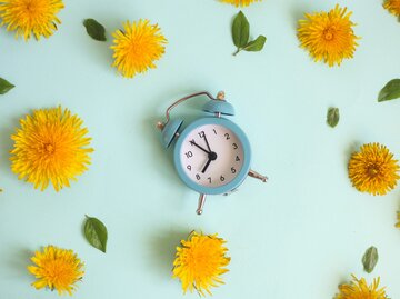 Sommerzeit | © Getty Images/Anna Blazhuk