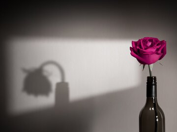 Verwelkte Rose in Vase | © AdobeStock/blacksalmon