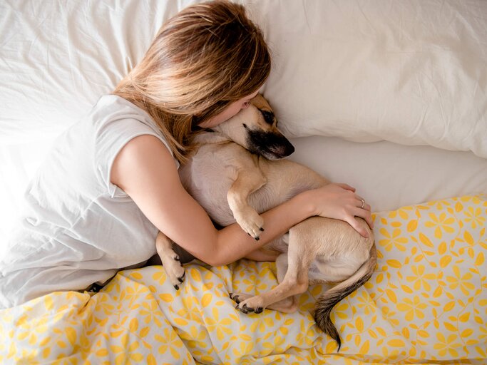 Hund schläft mit Frauchen im Bett | © Getty Images/Carlos Ruben Hernandez Blasco