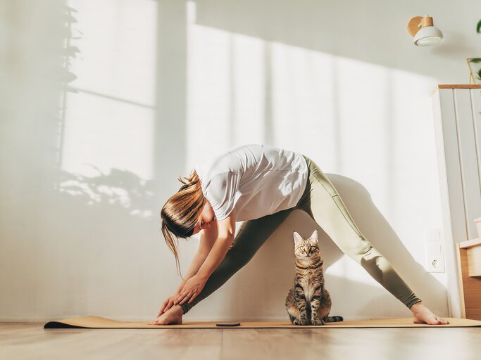 Eine junge Frau macht Yoga, vor ihr sitzt eine Katze. | © GettyImages/Kseniya Ovchinnikova