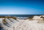 Mit Büschen bewachsene Sanddüne mit Blick auf Sandstrand und Nordsee | © Getty Images | Thomas Schelagowski | EyeEm