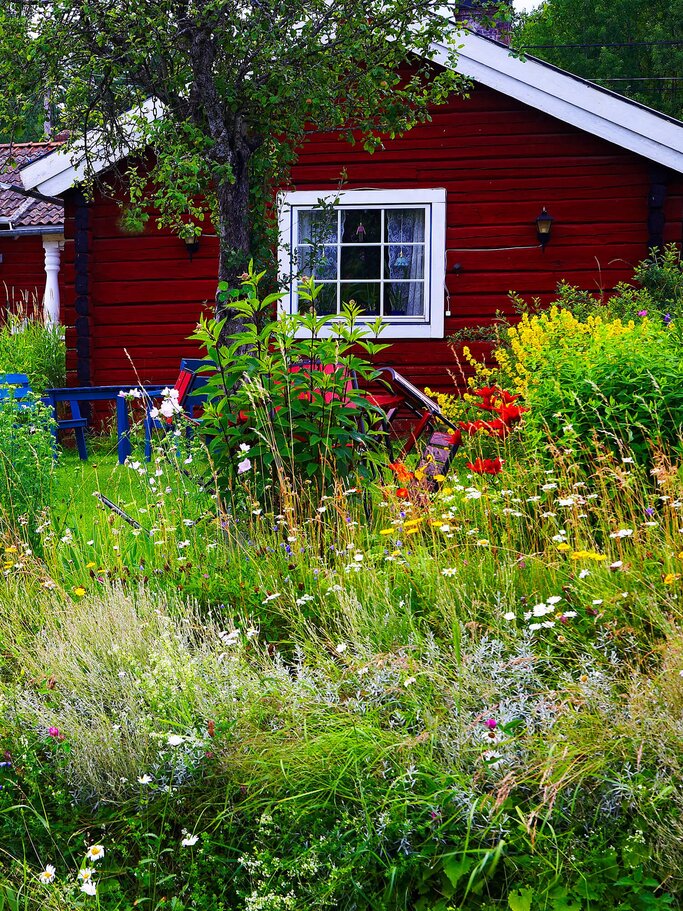 Rotes Holzhaus mit vielen bunten Blumen im verträumten Garten | © iStock | clu