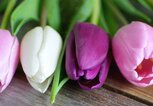 Muttertagsspruch mit Tulpen im Hintergrund | © iStock | CharlieAJA