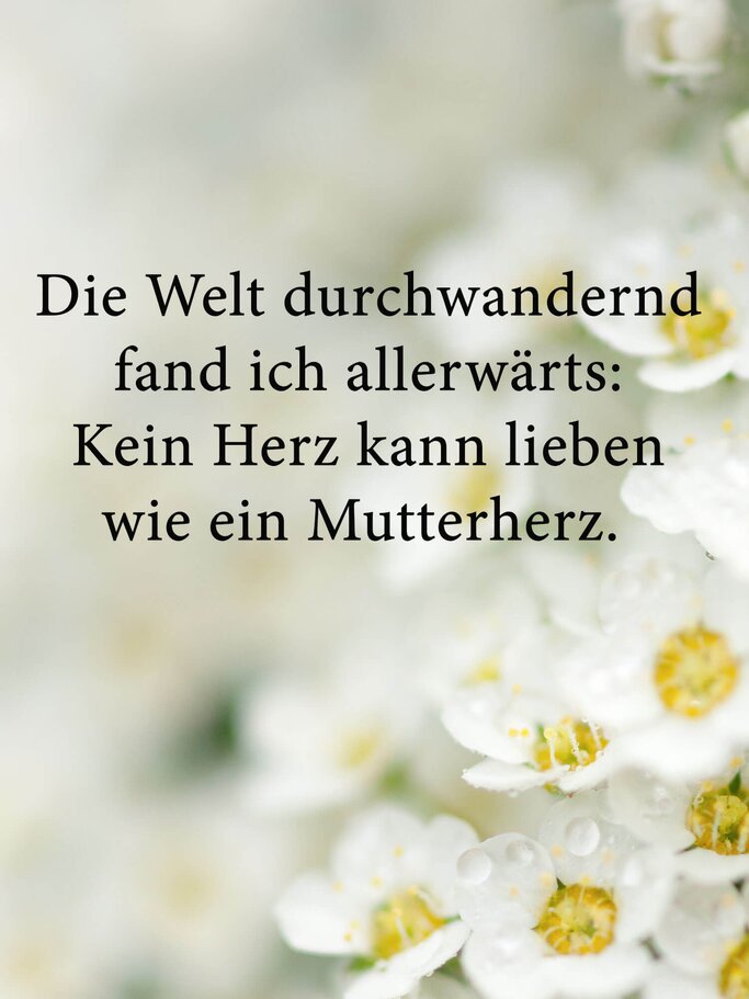 Zitat von Friedrich von Bodenstedt über Mutterliebe mit Blumen im Hintergrund | © iStock | Kharichkina